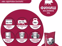 Белково-витаминно-минеральная добавка для свиней 65-110 кг Ava Zdorova Финиш 10% 25 кг — foto 4