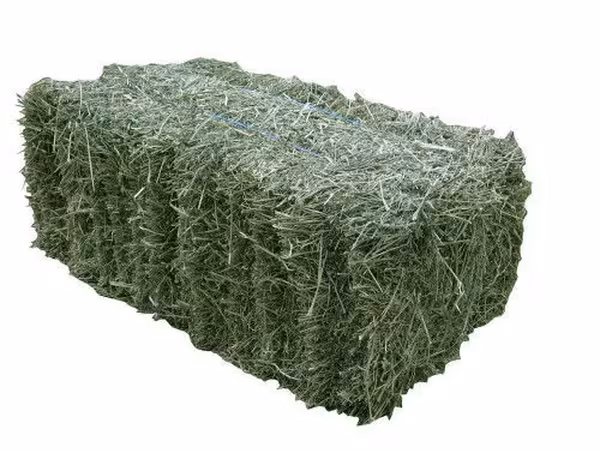 Продаются тюки люцерны