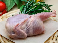 Carnita de prepelita — 1-rasm