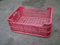 Lazi din plastic pentru export 19 lei buc /cirese, caise ,prune,struguri/ — фото 1