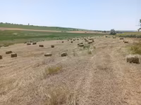 Сено трава разнотравье тюки — Foto 1