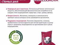 Комбикорм для поросят до 12 кг ava zdorova престарт 25 кг — photo 2