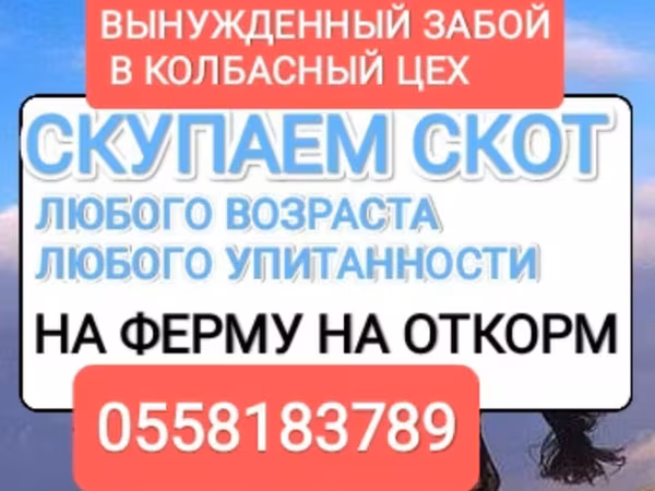 Бээ, Аттар