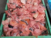 Закупаем субпродукты, рубец, фарш. Говядина, баранина, конина, птица. Для кормления собак. Viber. — foto 4