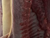 Porci de carne — 2-rasm