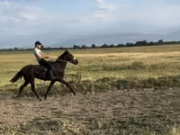 Cal, French Trotter — foto 3