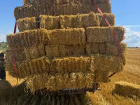 Продам солому овса . — 照片 1