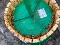Producție specializată pentru recoltarea și producere a strugurilor ! — foto 4