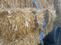 Тюки из овса — photo 2