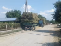 Lucerna, Paie, Balot, Tiuc — foto 1