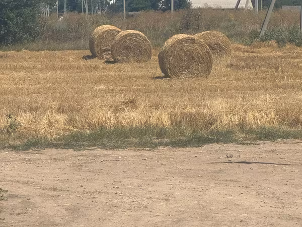Baloți