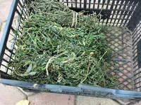 Продам мини тюки — 照片 4