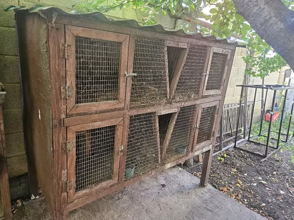 Крольчатники 2+1(вертикальный) в подарок