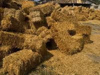 Продам солому овса . — 照片 2