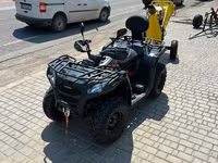 Tocator de lemne (Briggs & Stratton 14 CP) — photo 4