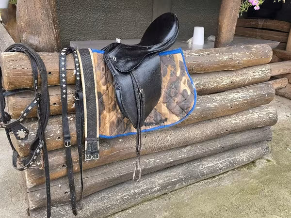 Cheval, Chevaux — Moldavie