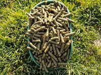 Lucernă granulata — 1-rasm