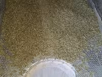 Granule7,50lei, pentru iepuri calitate superioară, Orhei — foto 3