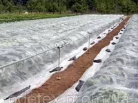 Material protector pentru plante decorative — फ़ोटो 1