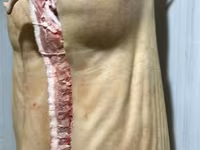 Vind carne de porc carcasa cu livrare — 1-rasm