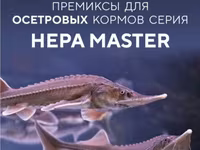 Премиксы для рыбного корма HEPA MASTER — foto 1