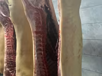 Propunem spre vânzare carne de porc proaspătă și deosebit de delicioasă. — 2-rasm