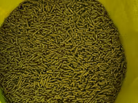 Vindem mincare pentru sinsila granule de 2.5mm produs in Ungaria 16lei(chinchila,sinsila,шиншила) — сүрөт 2