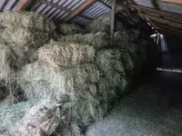Vind Fîn, Lucernă,Paie în baloți — Foto 2