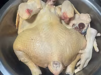 Vind gaini broiler — 1-rasm