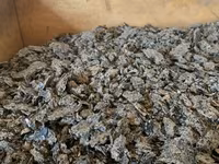 Macuc prajit — Foto 1