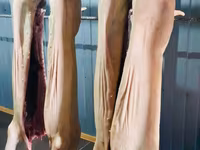 Propunem spre vânzare carne de porc proaspătă și deosebit de delicioasă. — 4-rasm