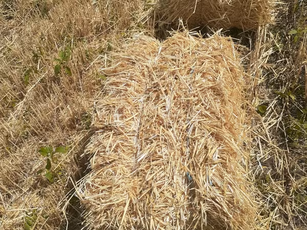 Продам солому в тюках