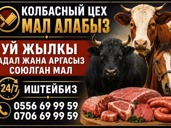 Bou, Bovine