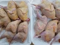 Carnita de prepelita — 2-rasm