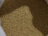 Granule — photo 3