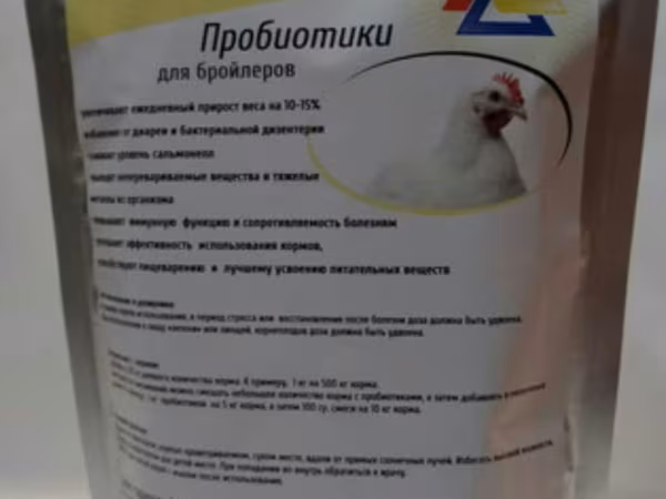 Chickens — Republica Moldova