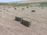 Сено трава разнотравье тюки — Foto 2