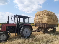 Продам солому в тюках — Foto 2