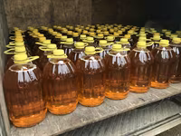 Vand cereale in raionul Florești, livrare disponibilă. — 4-rasm