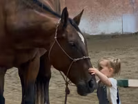 فرس, Quarter Horse — الصورة 4
