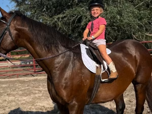घोड़ी, Quarter Horse