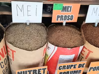 Vind Mei Proso — Foto 2