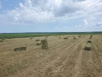 Lucernă — Foto 3