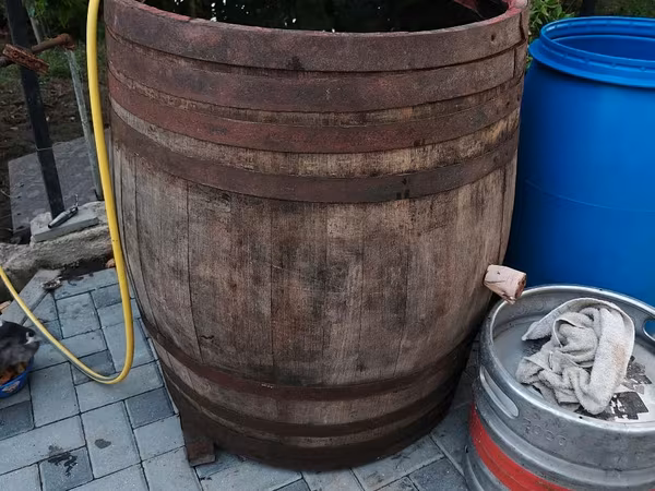 Butoi stejar