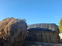 Nutreţ — Foto 3