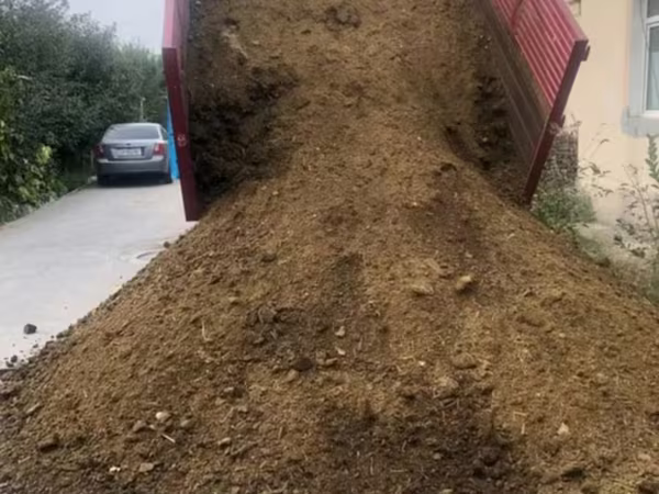 Molni Go'ngi sotiladi