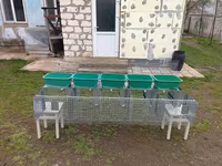Cuști pentru iepuri клетка для кроликов — 照片 1