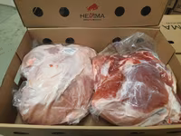 Scroafă, Porci — foto 3