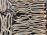 Баранина окорок, корейка, тримминг — Foto 4