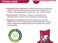 Бмвд Для Свиней 30-65 Кг Ava Zdorova Гровер 15%, 25 Кг — foto 2